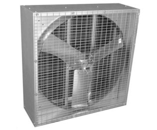 Box Fans