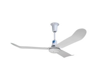 Ceiling Fans