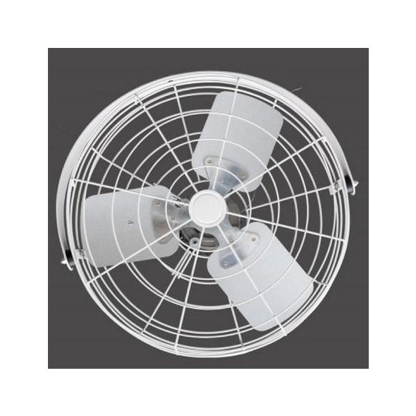 White Wide Guard Poultry Circulator Fan 20 inch 3800 CFM Variable Speed 20B4WV-W