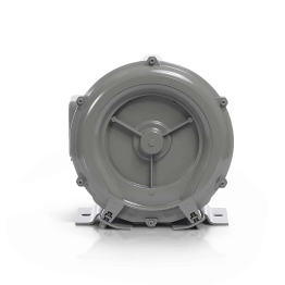 All-Star Single Stage Regenerative Blower 1 Inch, 1 Phase - RB1-025-1