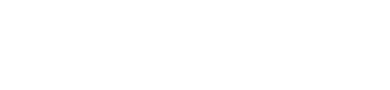 Big Ass Fans Logo